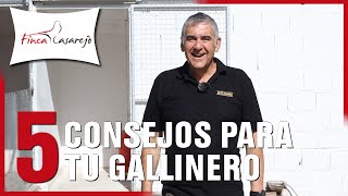 5 Consejos para tu Gallinero 🐓 [upl. by Lessig]