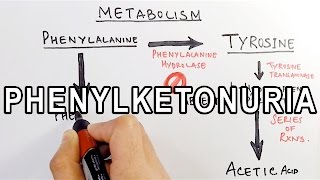 Phenylketonuria  Biochemistry amp Genetics [upl. by Eidarb]