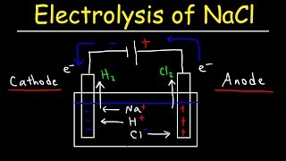 Electrolysis of Sodium Chloride  Electrochemistry [upl. by Remas]