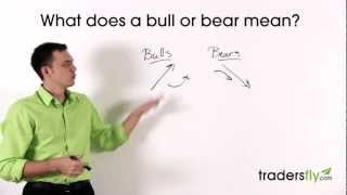 What Does a Bull and Bear Mean in the Stock Market [upl. by Epoillac]