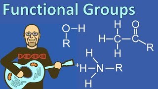 Functional Groups Explained so AP Bio Students can Understand [upl. by Stier]