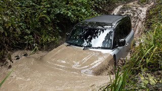 New Land Rover Defender P300  Extreme OFFROAD Test Drive [upl. by Aldon]