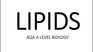 LIPIDS AQA A LEVEL BIOLOGY  EXAM QUESTION RUN THROUGH [upl. by Mame]