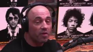 Joe Rogan Breaks Down Ronda Rousey Getting KOd By Amanda Nunes  UFC 207 [upl. by Neggem]