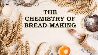 The Chemistry of Breadmaking [upl. by Phila]