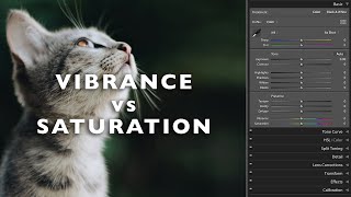 Vibrance vs Saturation Explained  Whats the difference [upl. by Nimaynib]