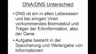 DNA  DNS Unterschied [upl. by Octavian]