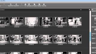 Basic Digital Workflow Using Nikon ViewNX [upl. by Cloris161]