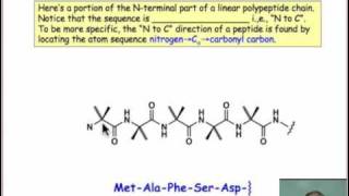 Amino Acids and Peptides [upl. by Rosdniw804]