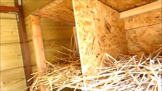 Como hacer un Gallinero Casero con madera reciclada [upl. by Seligmann126]