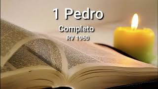 1 PEDRO Completo Biblia Hablada ReinaValera 1960 [upl. by Brout]