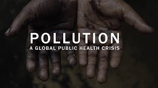 Pollution a global public health crisis [upl. by Pazice]