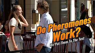 Do Pheromones Work [upl. by Halima]