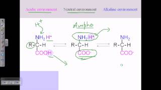 Amino acid structures part 2 [upl. by Ettenom156]