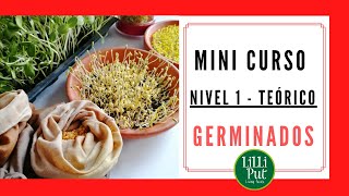 🌾CÓMO HACER GERMINADOS en casa 👉 Curso básico TEÓRICO [upl. by Chapin]