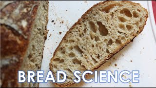 The Science of Bread Part 1  Flour Water Yeast Salt [upl. by Eynobe]