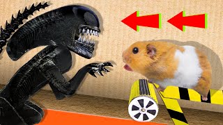 🐹 Alien Hamster Maze with Traps 😱OBSTACLE COURSE😱  BONUS  Awesome Hamster Escape [upl. by El]