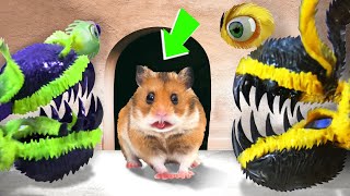 🐹 Big Monster Hamster Maze with Traps 😱Obstacle Course😱  BONUS 3  Awesome Hamster Escape [upl. by Azil]