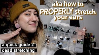 a 101 guide on stretched ears [upl. by Nestor]