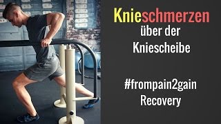 Knieschmerzen über der Kniescheibe Entzündung d Quadrizepssehne│Mischa Kotlyar [upl. by Rebbecca570]