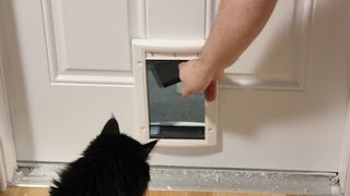 Installing a Cat Door [upl. by Latrina52]