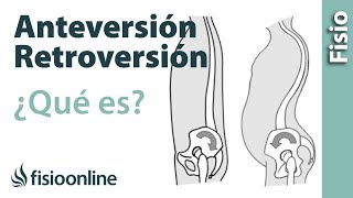 Anteversión y retroversión pélvicas  ¿Qué es [upl. by Sammie]