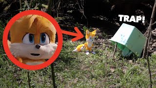 I CAPTURED TAILS IN REAL LIFE [upl. by Enelrac]