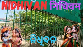 Nidhivan Mystery Vrindavan में चमत्कार  श्रीकृष्ण का मायालोक [upl. by Natloz]