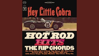 Hey Little Cobra [upl. by Liscomb]