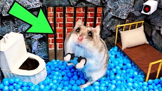 🐹Hamster Escapes the Amazing Maze and Traps😱OBSTACLE COURSE😱  ZOMBIES [upl. by Coombs]