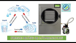 Freeze drying or Lyophilization in depth [upl. by Lanza]