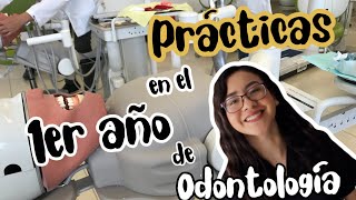 Prácticas en el primer año de odontología [upl. by Jaime877]