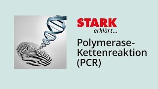 PCR – PolymeraseKettenreaktion  STARK erklärt [upl. by Inan]