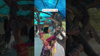 रहस्यमयी “निधिवन मंदिर”…😱😰 Nidhivan Temple Mystry Brijwasi Vlogger [upl. by Wenonah]