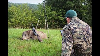 Schwarzwildjagd bei Tageslicht 20  Besuch von Huntingroom Germany 4K [upl. by Still]