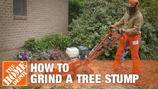 How To Grind A Tree Stump  The Home Depot [upl. by Killigrew]