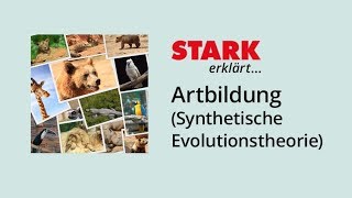 Artbildung nach der Synthetischen Evolutionstheorie  STARK erklärt [upl. by Ahrens]