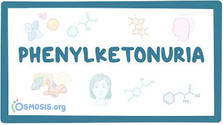 Phenylketonuria  causes symptoms diagnosis treatment pathology [upl. by Bern]