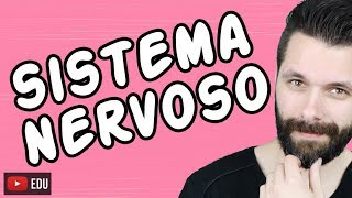 SISTEMA NERVOSO  FISIOLOGIA  Aula  Biologia com Samuel Cunha [upl. by Eelanej48]