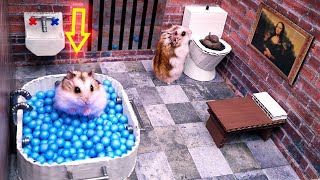 🐹Hamster escapes from luxury prison maze [upl. by Almita854]