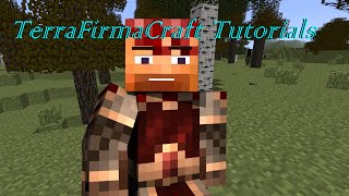 TerraFirmaCraft Tutorial Forge [upl. by Reger196]