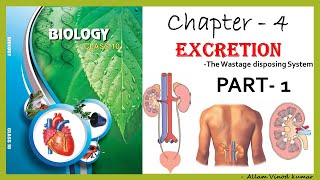 Excretion  The wastage disposing system 10th Biology Part1 [upl. by Nilyram634]