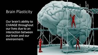 Brain Plasticity and Aging [upl. by Doug]