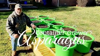 How To Grow Asparagus in Containers Part 1 of 3 [upl. by Fancie252]