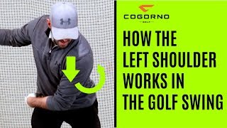 GOLF How The Left Shoulder Works In The Golf Swing [upl. by Harlin]