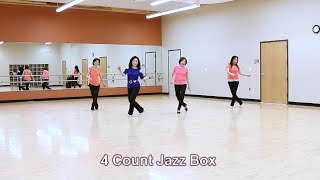 Tip Toe  Line Dance Dance amp Teach [upl. by Atiraj]