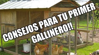 COMO HACER TU PRIMER GALLINERO CONSEJOS PARA TU PRIMER GALLINERO [upl. by Sabah]