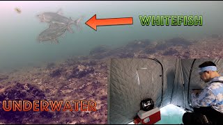 How To Ice Fishing  Lake Simcoe [upl. by Corrie402]