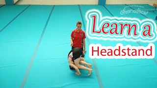 Head Over Heels Gymnastics Tutorials Learn a Headstand [upl. by Nathanson890]