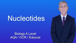 A Level Biology Revision quotNucleotidesquot [upl. by Miah]